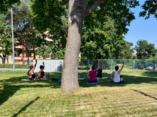 Yoga unterm Baum